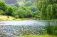 DSCN5728.JPG