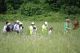 bioblitz_2013_let.jpg