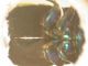 DSCN4455.JPG