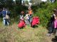 Bioblitz 2013 013 copia.jpg