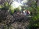 Bioblitz 2013 020 copia.jpg
