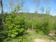 IMG_5475.JPG