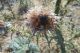tn_DSCN1414.JPG