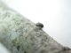 DSCN4603.JPG
