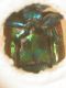 DSCN4649.JPG