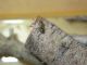 DSCN4693.JPG