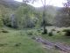 CIMG0785.jpg