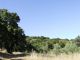 DSCF8843.JPG