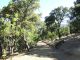 DSCF8865.JPG