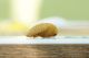 DSC02062-small.jpg