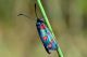 DSC_7735 LR.jpg