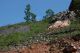 26.06.13 Ch Runc & Pociov 152_.jpg