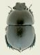DSCN4895.jpg