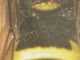 DSCN4927.JPG
