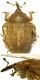 gymnetron_4_5_florenz_130601.jpg