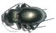 DSCN6123.JPG