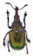 Comb0840_77crc.jpg