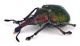 Comb0841_83crc.jpg