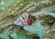 DSCN0892.JPG