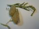 DSC03451.JPG