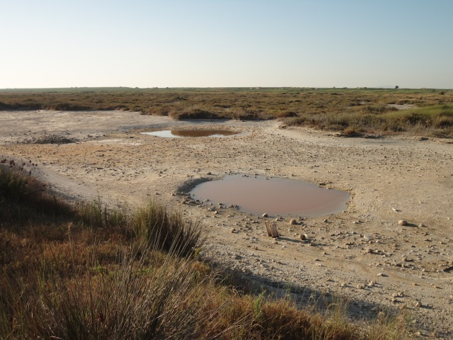 C.Feto 27-07-2013 (1).JPG