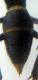 SAM_4640.JPG