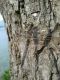 IMG-20130816-WA0001.jpg
