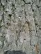 IMG-20130816-WA0002.jpg