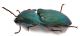 Comb0891_102crz.jpg