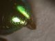 DSCN5237.JPG