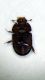 DSCF3933.JPG