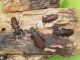 DSCF9035.JPG