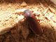 DSCF9079.JPG