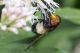 _DSC7938aaarc_cr.jpg