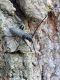 DSC_9864 mini.jpg