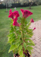 Screenshot_2013-08-28-00-40-56.png