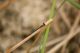 _MG_8196 [Risoluzione del desktop].jpg