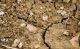 _MG_8192 [Risoluzione del desktop].jpg