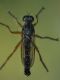 DSCF2784.jpg