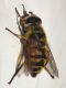 DSCF2792.jpg