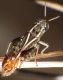 DSCF2891.jpg