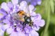 _DSC8938aa_cr.jpg