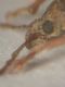 DSCN5479.JPG