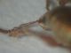 DSCN5480.JPG