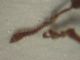 DSCN5481.JPG