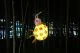 DSC03638.jpg
