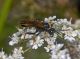 20130812valdirhemes.jpg