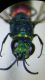 DSCF4010.JPG