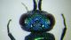 DSCF4016.JPG