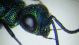 DSCF4026.JPG